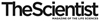 The Scientist Logo